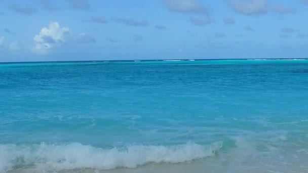 Daglandschap van exotische kustlijn strand fauna door blauw water met helder zand achtergrond in de buurt palmen — Stockvideo