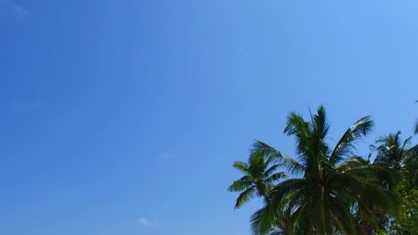 Літня текстура спокійного пляжного подорожі блакитним зеленим океаном та білим піском перед заходом сонця — стокове відео