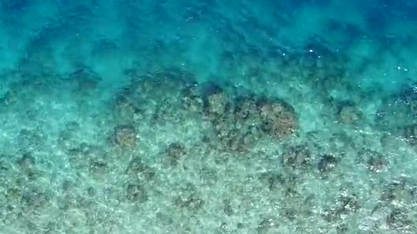 Cielo soleggiato di bella laguna viaggio in spiaggia da oceano poco profondo e sfondo di sabbia bianca vicino a palme — Video Stock