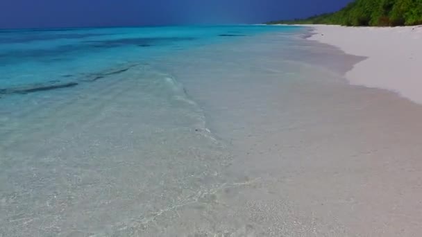 Ampio angolo paesaggio del paradiso resort spiaggia fauna selvatica dal mare poco profondo e sfondo di sabbia bianca vicino palme — Video Stock
