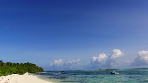 Summer nature of tranquil coastline beach wildlife by clear sea and clean sandy background before sunset — Stock Video