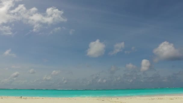 Ζεστό ταξίδι της ήρεμης ακτογραμμής χρόνο παραλία από μπλε θάλασσα με λευκή άμμο φόντο κοντά φοίνικες — Αρχείο Βίντεο