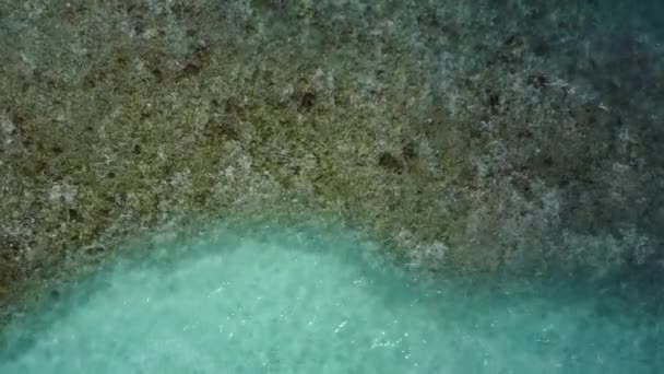 Αντιγράψτε το διαστημικό ταξίδι της όμορφης τουριστικής άγριας ζωής παραλία από μπλε πράσινη λιμνοθάλασσα με λευκό φόντο άμμο κοντά surf — Αρχείο Βίντεο