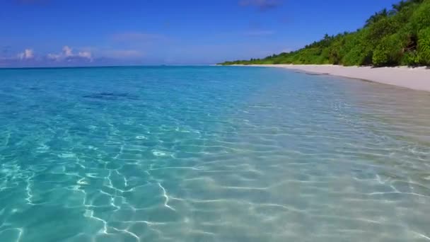 靠近度假胜地的蓝海白沙背景热带海岸野生动物日间景观 — 图库视频影像