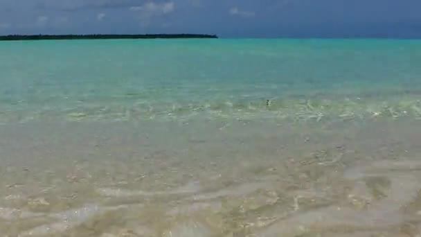 Panorama ravvicinato di bella vacanza al mare costa da acqua blu con sfondo di sabbia pulita vicino a palme — Video Stock
