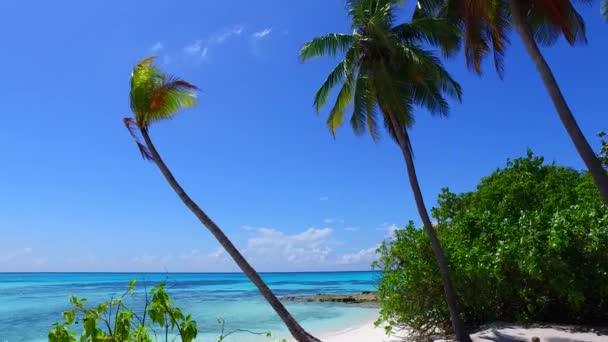 Καλοκαίρι φύση της ήρεμης τουριστικής άγριας ζωής παραλία από μπλε ωκεανό με λευκό αμμώδη φόντο κοντά surf — Αρχείο Βίντεο