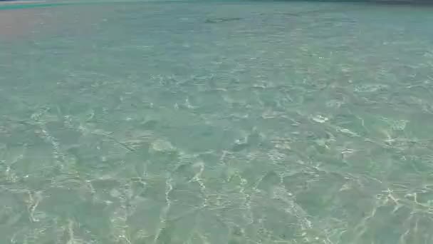 Широкий угол ландшафта спокойный вид на море время на пляже с прозрачной водой и белый песок фон возле пальм — стоковое видео