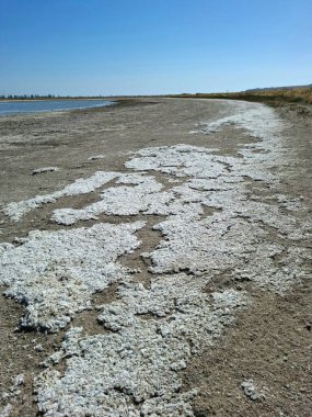 Gölde tuz. kurumuş bir haliçin dibi kurumuş haliçtir. Teknede beyaz deniz tuzu tabakasına yakın çekim.
