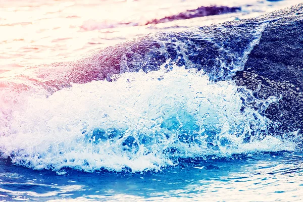 Deniz dalgası bir kaya üzerinde. Gün batımında güneş.