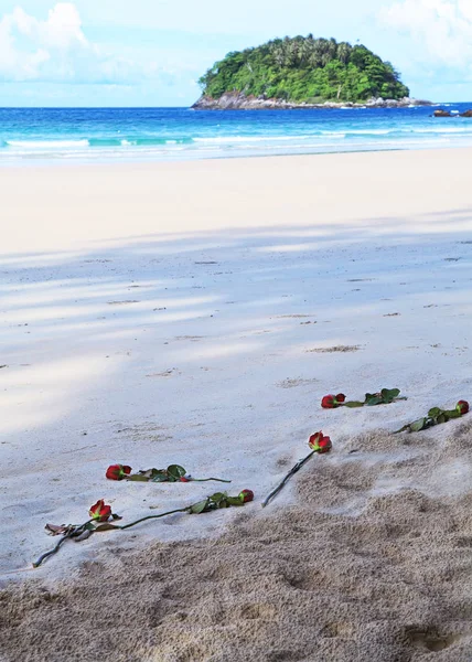 Gül bir okyanus plaj üzerinde. Dikkatsizce atılmış kuma.
