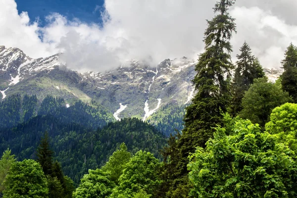 Karlı zirveleri yeşil ağaçlar arka plan üzerinde. Güneşli bir gün. Bulutlar dağların üzerinden.