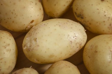 Genç patates, hasat yeni, yakın çekim