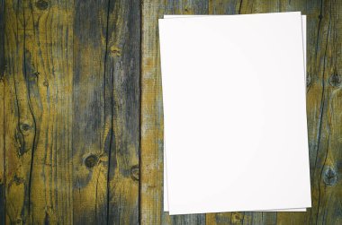 Katalog, dergi boş, sahte ağaç arka planda, üstten görünüm kitap.