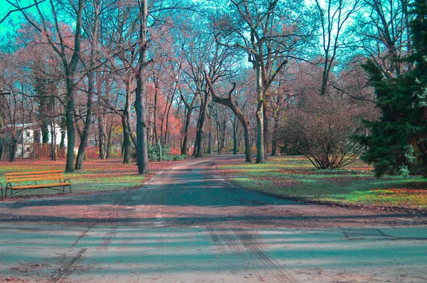 Park Mit Bäumen Und Gras Budapest — Stockfoto