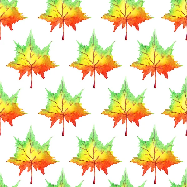 Płynny Wzór Jesiennymi Liśćmi — Zdjęcie stockowe
