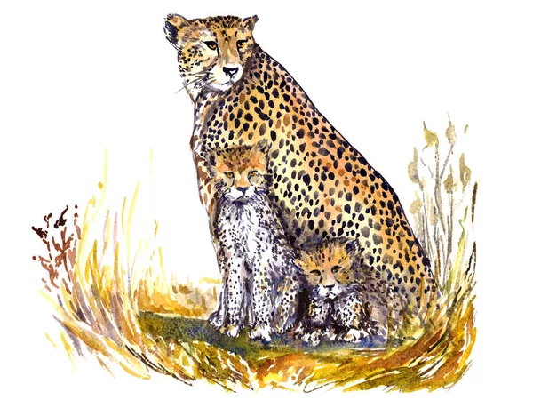 Cheetah med katt ungar sitter kamouflerade i gräset i den afrikanska savannen och ser fram emot, isolerade handmålade akvarell — Stockfoto