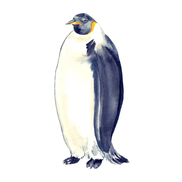 Penguin Staande Geïsoleerde Aquarel Illustratie — Stockfoto