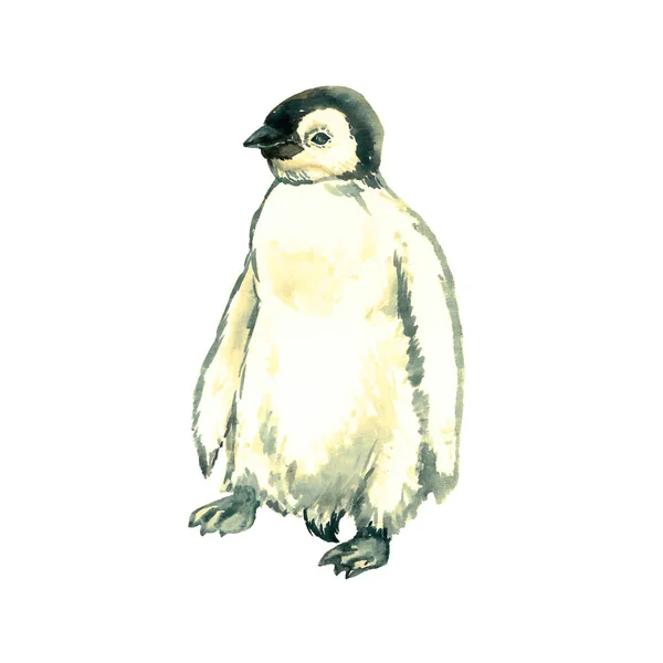 Пінгвін Стоїть Ізольована Акварельна Ілюстрація — стокове фото