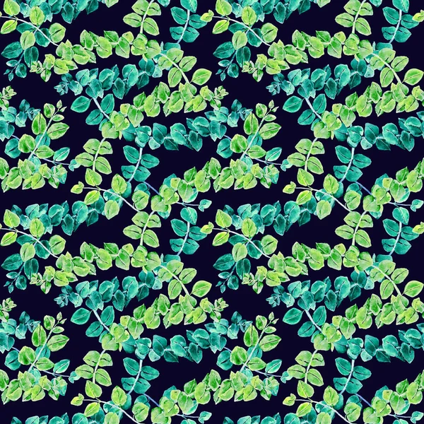 Eukaliptusa Tetragona Oddziałów Zielonym Turkusowe Liście Ręcznie Malowane Akwarela Ilustracji — Zdjęcie stockowe