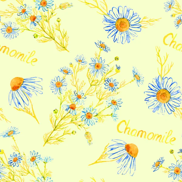 Chamomile plant with flowers, hand painted watercolor illustration with inscription, seamless pattern design on soft yellow background