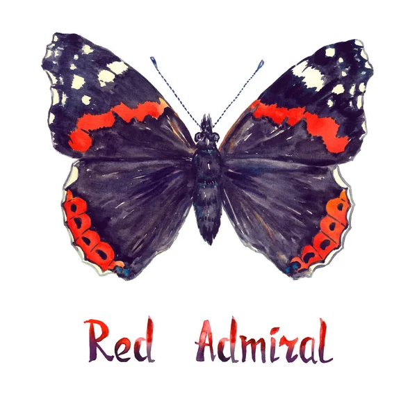 Mariposa Almirante Roja Acuarela Pintada Mano Ilustración Con Inscripción Manuscrita — Foto de Stock