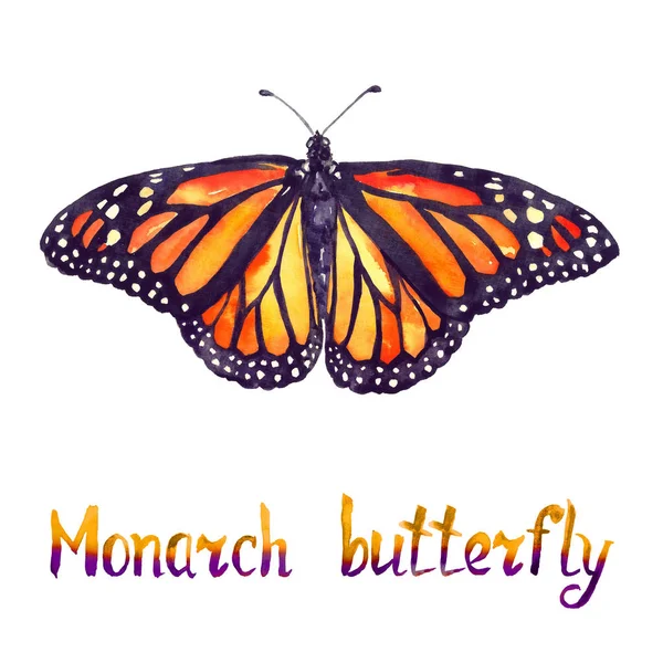 Mariposa Monarca Acuarela Pintada Mano Ilustración Con Inscripción Manuscrita — Foto de Stock