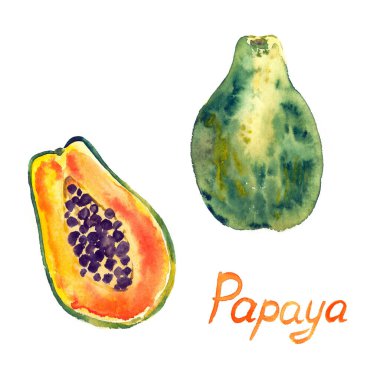 Papaya meyvesi (Carica papaya), el yazısıyla yazılmış yarım dilim suluboya resim