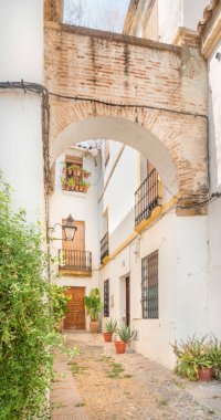 Güney İspanya, Endülüs 'ün Cordoba şehrinin sokaklarında büyüleyici bir yer. Eski kasabayı keşfetmek ve güzel köşeler keşfetmek. Resimli dar şeritler keşfetmek. İspanyol geleneksel teras saksıları.