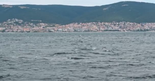 Beyaz Deniz Mavi Bulutlu Gökyüzü Sahil Üzerinde Uçan Martı — Stok video