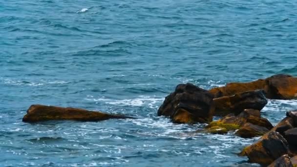 Kayalara Karşı Çökmesini Dalgalar Deniz Yavaş Çekim — Stok video