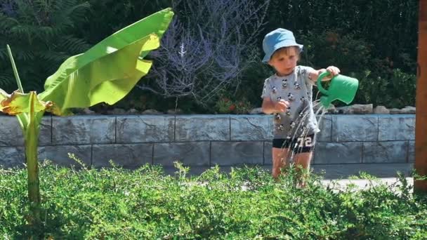 Niño Regando Las Flores Jardín Familiar Día Verano Escena Muy — Vídeos de Stock