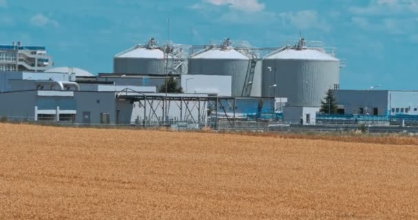 Manzara Parlak Doğa Asansör Mavi Gökyüzü Hacimli Bulutlar Karşı Hububat — Stok video