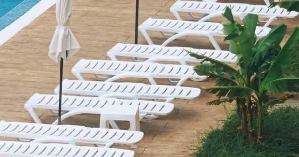 美しい高級傘とリゾート ニアリー海とビーチの屋外スイミング プールの周りの椅子 — ストック動画