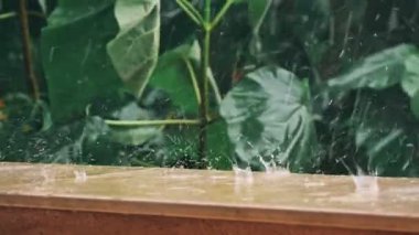 Tropik yağmur ormanı'nın şiddetli yağmur.