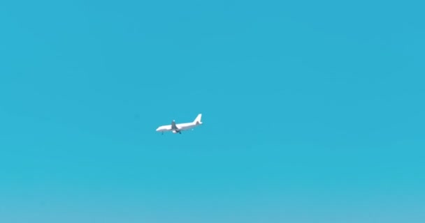 Reizen Vliegtuig Internationale Vlucht Vliegtuig Vliegen Blauwe Lucht Boven Wolken — Stockvideo