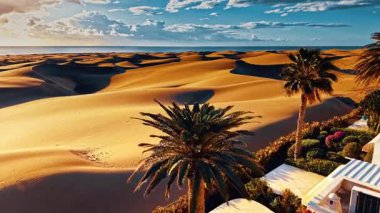 Bu görkemli hava manzarası, İspanya 'nın Gran Canaria kentinin altın kum tepeciklerini yakalıyor. Gün batımının sıcak renkleriyle aydınlatılıyor. Palmiyeler, canlı manzarayı çerçeveliyor..