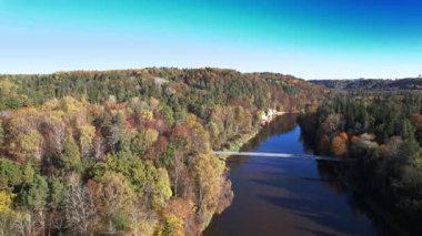 Nehir sonbaharda ormanın içinden usulca akarken, açık mavi gökyüzü altında huzurlu bir doğal görüntü sergilerken, renkli yapraklar manzaraya hakim oluyor..