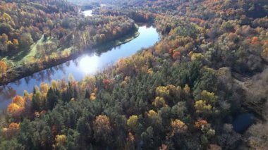 Sakin bir nehir, parlak sonbahar renkleriyle bezenmiş sık ormanların arasında dolaşır, berrak mavi gökyüzünün altında manzaralı bir manzarada güneş ışığını yansıtır..