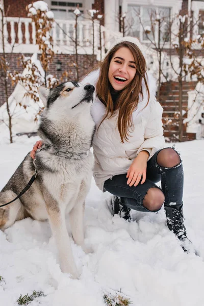 Funny husky resting after game in snowy park. Outdoor portrait of elegant white woman in ripped jeans sitting on the ground near her beautiful dog in winter weekend..