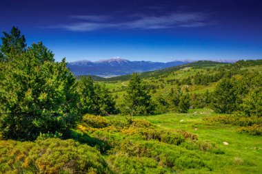 Fransa 'nın güneyinde yaz aylarında Pireneler' in dağ manzarası. Yazı tipi Romeu 'da çayırlar ve ormanlar.