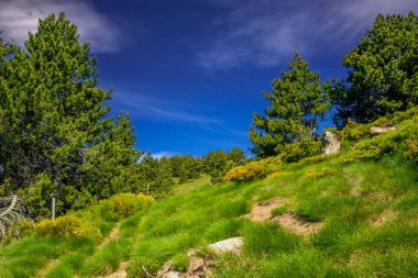 Fransa 'nın güneyinde yaz aylarında Pireneler' in dağ manzarası. Yazı tipi Romeu 'da çayırlar ve ormanlar.