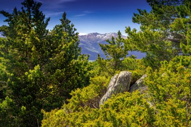 Fransa 'nın güneyinde yaz aylarında Pireneler' in dağ manzarası. Yazı tipi Romeu 'da çayırlar ve ormanlar.