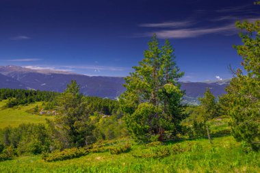 Fransa 'nın güneyinde yaz aylarında Pireneler' in dağ manzarası. Yazı tipi Romeu 'da çayırlar ve ormanlar.