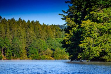 La Ravire Gölü manzarası sabahın erken saatlerinde Fransa 'nın güneyinde. Occitanie 'de ormanla çevrili sakin su.