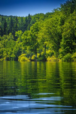 La Ravire Gölü manzarası sabahın erken saatlerinde Fransa 'nın güneyinde. Occitanie 'de ormanla çevrili sakin su.