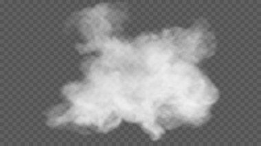 Şeffaf özel efekt sis veya dumanla göze çarpar. Beyaz bulut vektörü, sis veya sis