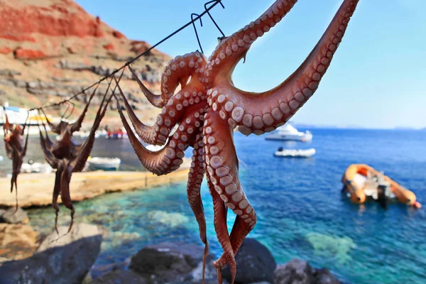 Octopus drying in greece santorini and light. — Stock Photo, Image