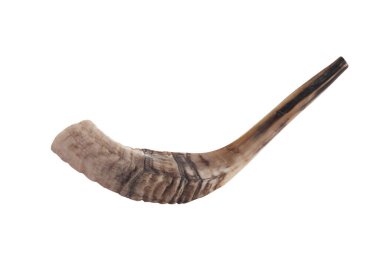 Shofar (boynuz) beyaz üzerinde izole. Yahudi geleneksel sembolü