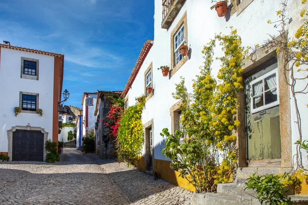 Portekiz 'in Obidos şehrinde geleneksel badanalı evleri, çiçekleri ve kiremitli çatıları olan kaldırım taşı caddeleri çok hoş. Tarihi bir Portekiz köyünün manzarası.