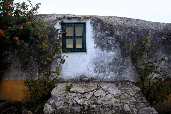 Portekiz 'in tarihi Obidos kasabasında küçük yeşil pencereli, yıpranmış taştan ve tırmanan bitkilerden oluşan eski bir köy evi duvarı..